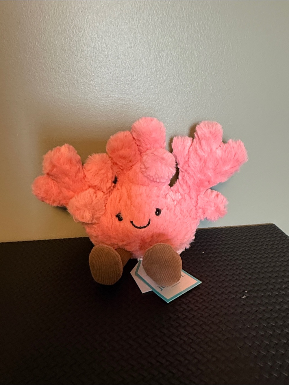 Jellycat Coral Plush Accent in Bright Pink with Brown Feet